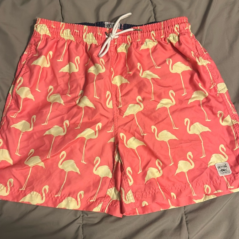 Spicy Tuna swim trunks, men’s medium